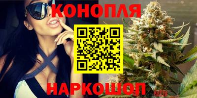 стаф Ливны