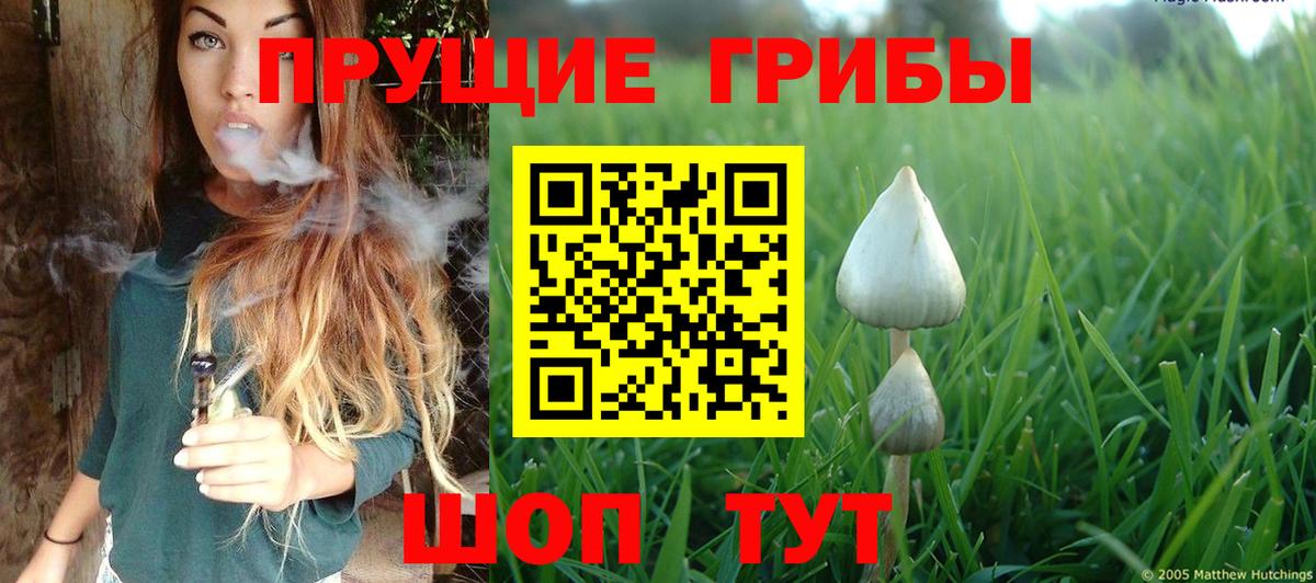 Ивантеевка  Псилоцибиновые грибы Psilocybine cubensis  купить наркотики сайты  Вход с VPN 