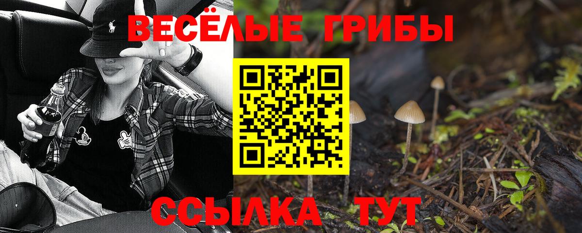 Галлюциногенные грибы Psilocybine cubensis Ивантеевка